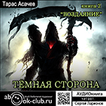 Темная сторона: Воздаяние. Книга 2 (цифровая версия)