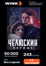 Подписка Wink Всё в одном (подписка на 12 месяцев)