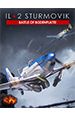 IL-2 Sturmovik: Battle of Bodenplatte.  (Steam) [PC,  ]
