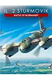 IL-2 Sturmovik: Battle of Normandy.  (Steam) [PC,  ]