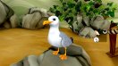  My Vet Practice: Marine Patrol [PC,  ]