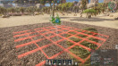 Скриншот Ancient Farm (Цифровая версия)